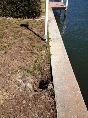 Seawall Erosion Repairs in Sarasota